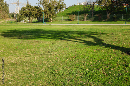 Fototapeta Naklejka Na Ścianę i Meble -  View of Yarkon Park, Tel Aviv, Israel