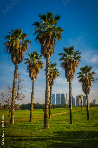 View of Yarkon Park, Tel Aviv, Israel