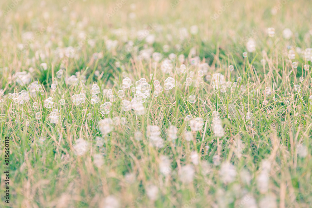 Fototapeta premium Air bubbles on grass background. Abstract background