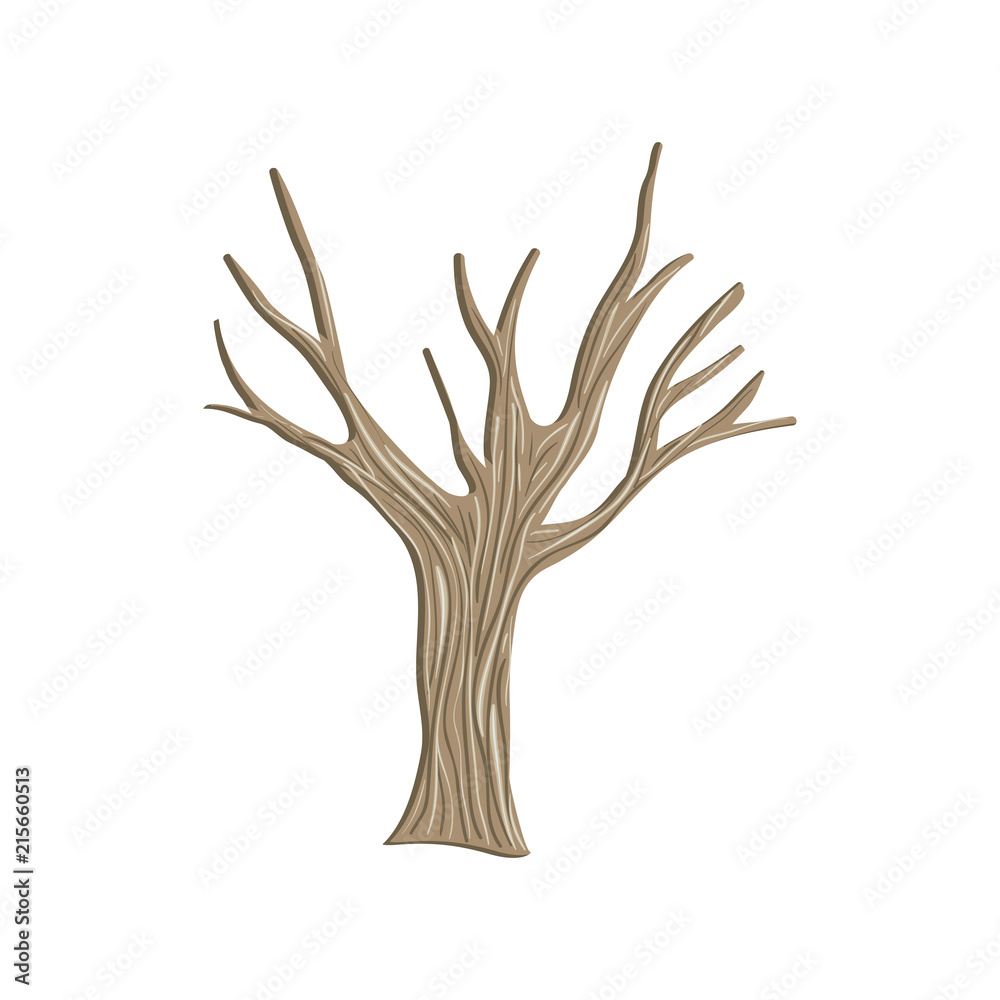 tree autumn without leafs icon vector illustration design tree autumn without leafs icon vector illustration design
