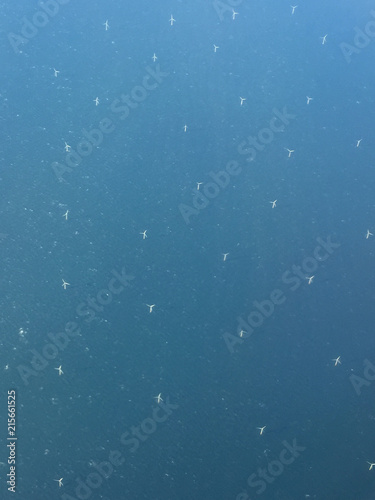 Offshore wind turbines photographed from high overhead