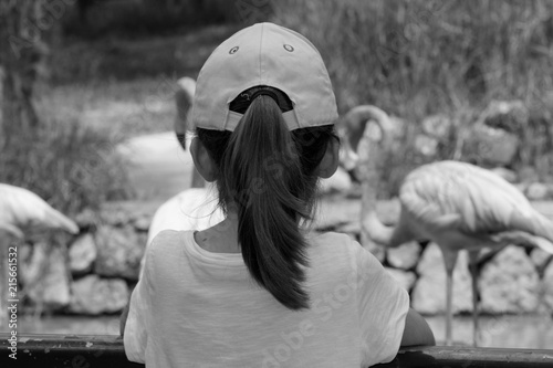 Little girl watching the flamingos _ B&W