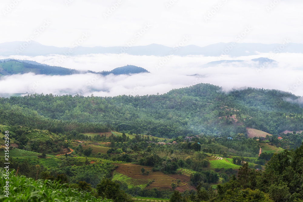Misty Mountains with rice terrace at Chiang mai, Thailand