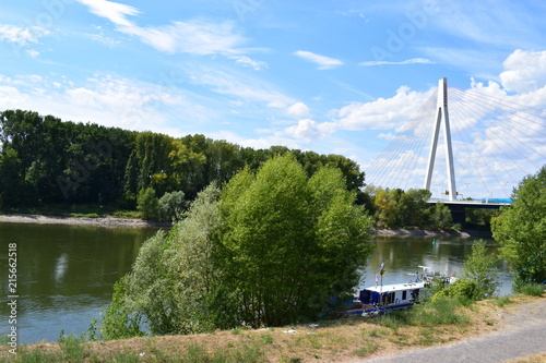 Raiffeisenbrücke, Neuwied am Rhein - Weißenthurm photo