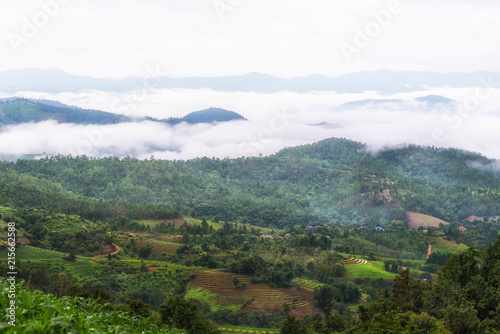 Misty Mountains with rice terrace at Chiang mai  Thailand