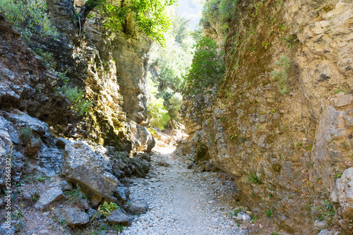Imbros gorge in Crete	 photo