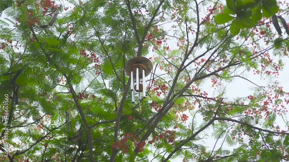 Wind chime hanging on tree in garden. Feng shui wind bell on branches of tree. Feng shui symbol concept. Wind chime hanging on tree in garden. Feng shui wind bell on branches of tree. Feng shui symbol concept.