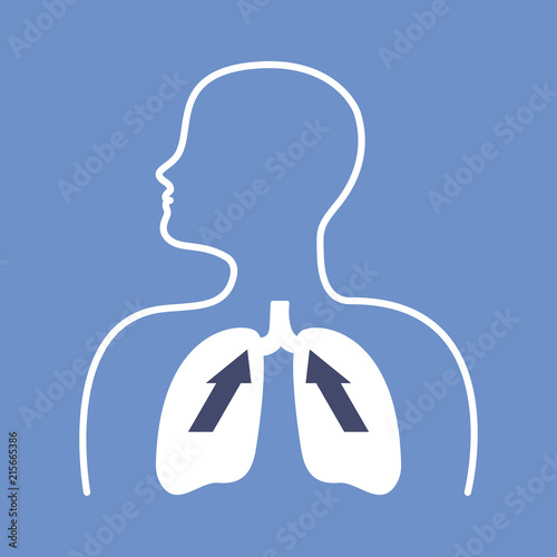 Human lungs silhouette - fluorography. Lungs line vector icon on blue background.