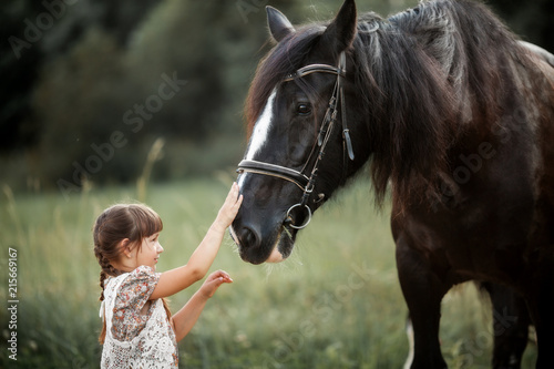  Little girl with shire horse photo