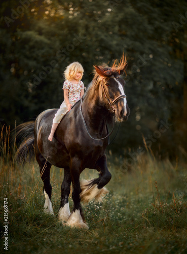 Little girl with shire horse photo