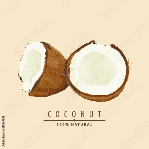 fresh coconut illustration