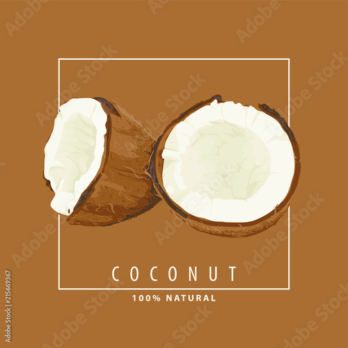 fresh coconut illustration