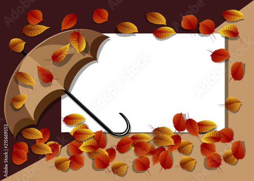 Regenschirm im Herbst