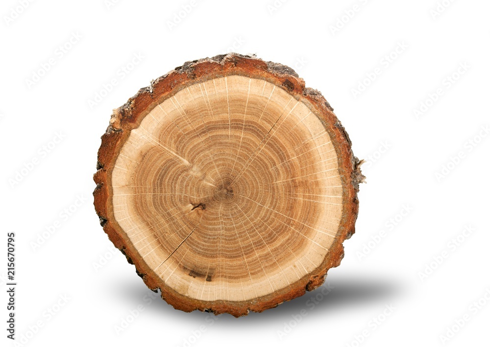 Log Cross Section Log Cross Section