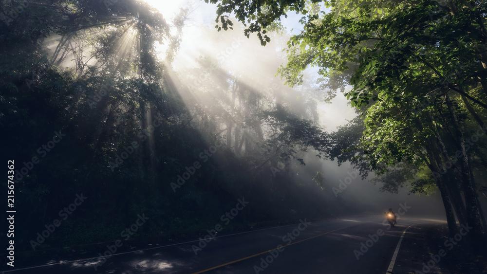 Fototapeta premium motorbike on forest road with rays and mist