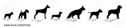 dogs