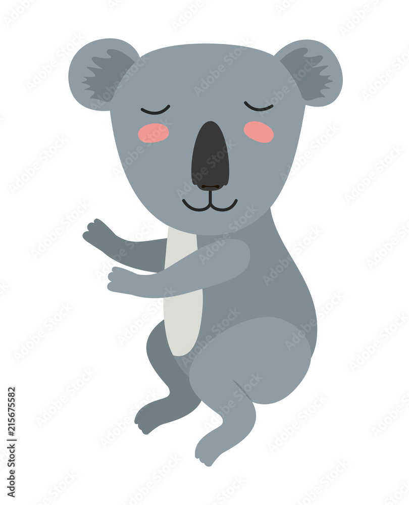 wild koala isolated icon vector illustration design