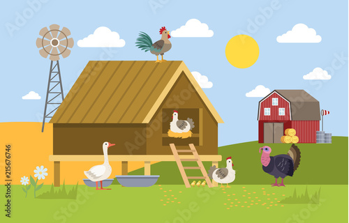 Domestic birds on the farm.