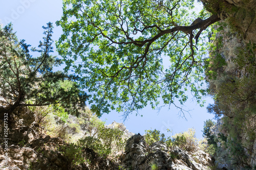 view of the sky between the rocks in the Imbros gorge