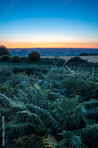 Dumpdon Hill Fort, the beautiful Otter Valley near Beacon, Honiton, Devon, UK. UK countryside at sunset . © Philip
