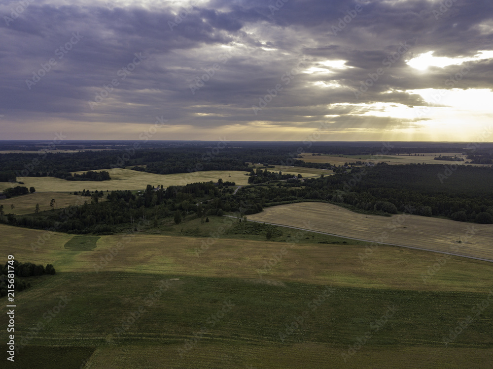 Fototapeta premium Aerial view beautiful forest near fields