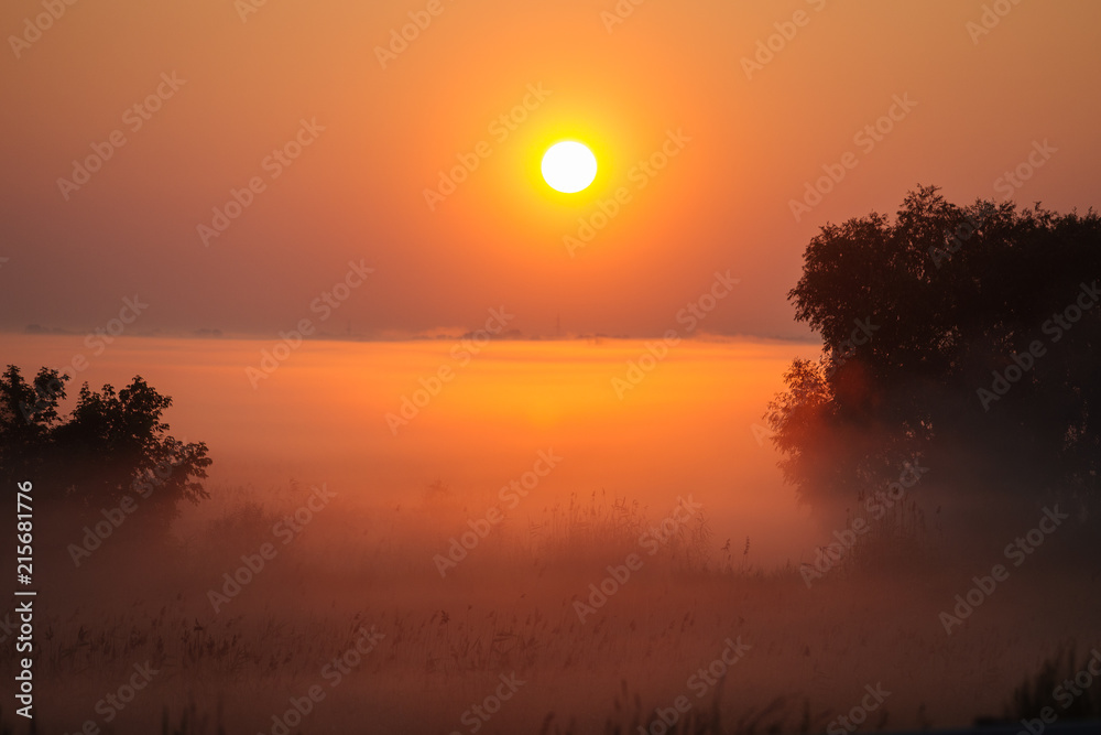 Fototapeta premium Srtrong fog over the field on the sunrise