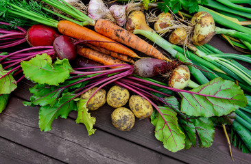 Papier peint photo Légumes Récolte de légumes sur planches bois  © Soho A studio