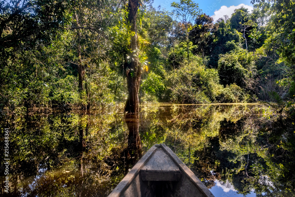 Navegando en un bote de madera a través del bosque inundado en Leticia, región de Amazonas, Colombia.