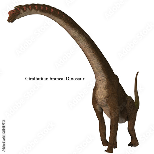 Giraffatitan Dinosaur on White with Font - Giraffatitan was a herbivorous sauropod dinosaur that lived in Africa during the Jurassic Period. © Catmando