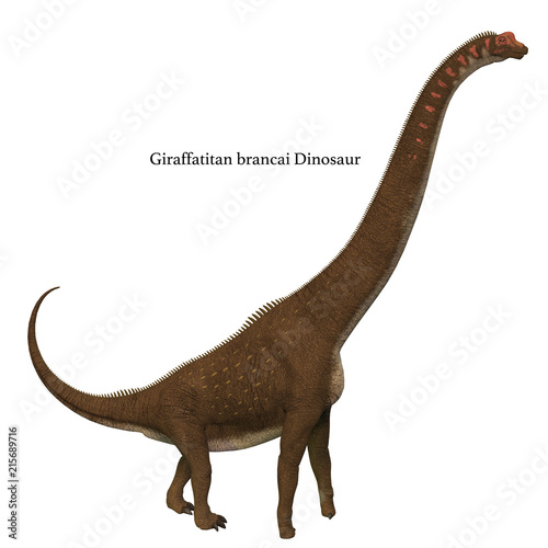 Giraffatitan Dinosaur Side Profile with Font - Giraffatitan was a herbivorous sauropod dinosaur that lived in Africa during the Jurassic Period.