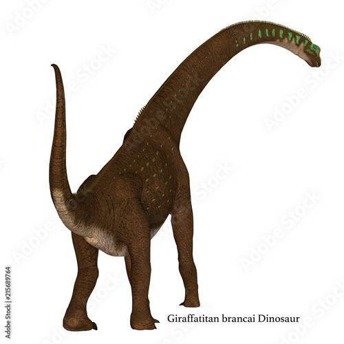 Giraffatitan Dinosaur Tail with Font - Giraffatitan was a herbivorous sauropod dinosaur that lived in Africa during the Jurassic Period. © Catmando