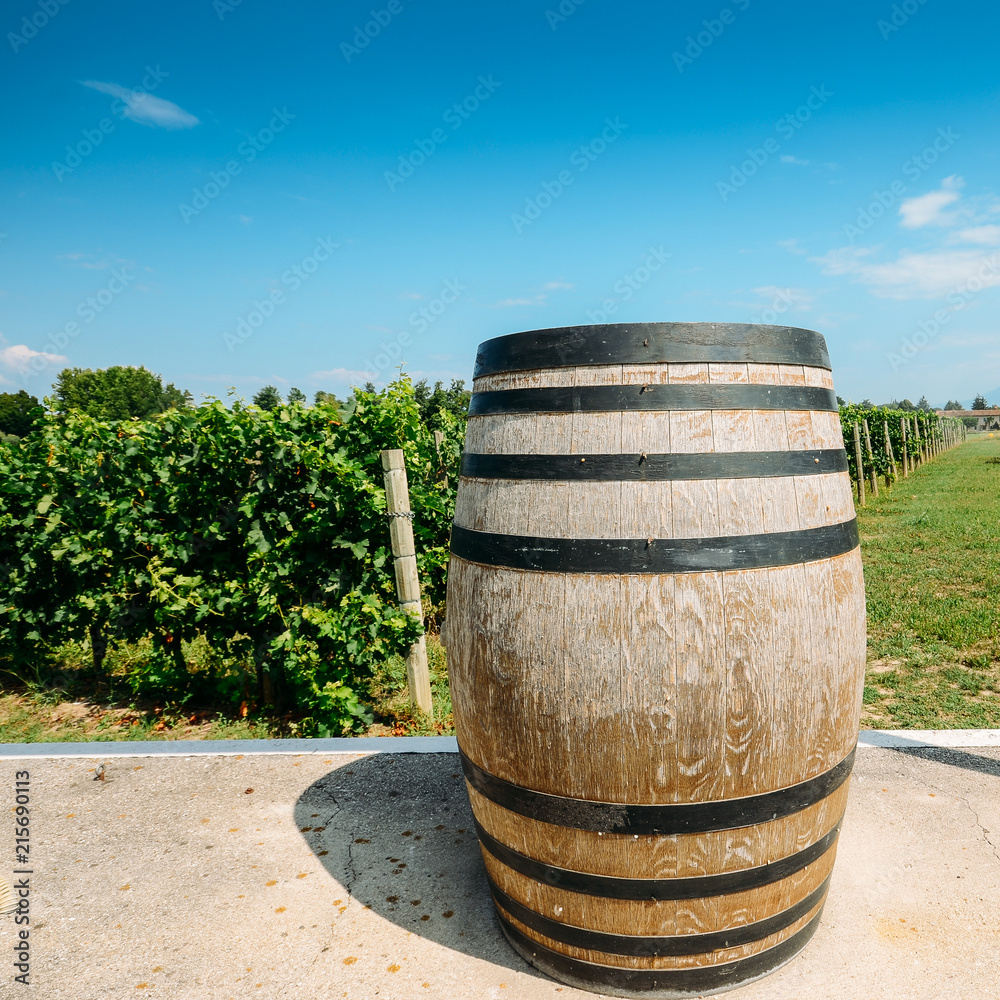Wine with wooden barrel on vineyard in Lombardy, Italy Wine with wooden barrel on vineyard in Lombardy, Italy