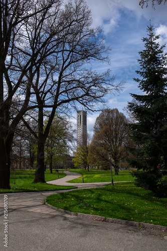 Vasaparken - a park in the center of Vasteras, Sweden, on a sunny spring day with the tower of the City Hall in the background. A path is weaving among the trees to the City Hall.  © Antonina Polushkina