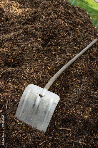 shovelor spade in gardening earth, tool for farming photo