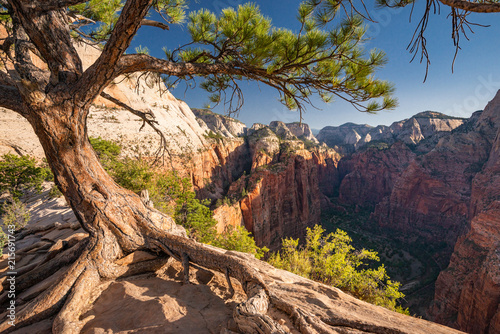 View from Famous Angel's Landing, Zion National Park, USA © Markus