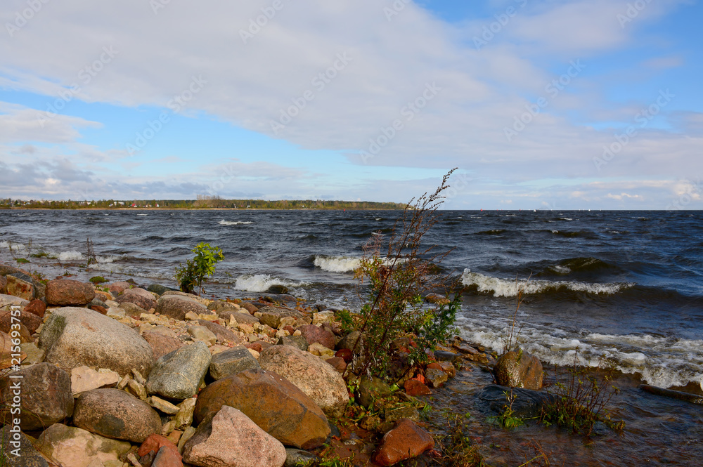 Windy autumn day on the shore of lake Ladoga. Windy autumn day on the shore of lake Ladoga.
