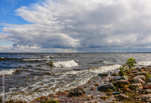 Obraz na plátně Windy autumn day on the shore of lake Ladoga.