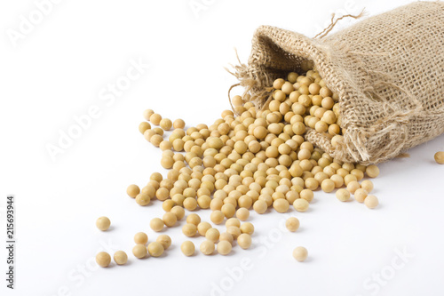 Soy products on white background