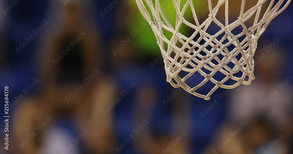 Obraz premium Basketball ball flies into the net