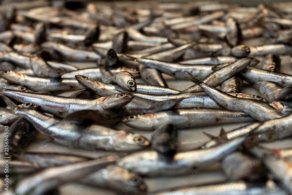 small silvery fish put on display to be sold. Fishes in the foreground and in the background unfocused.