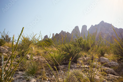Organ Mountains, New Mexico, United States, Desert