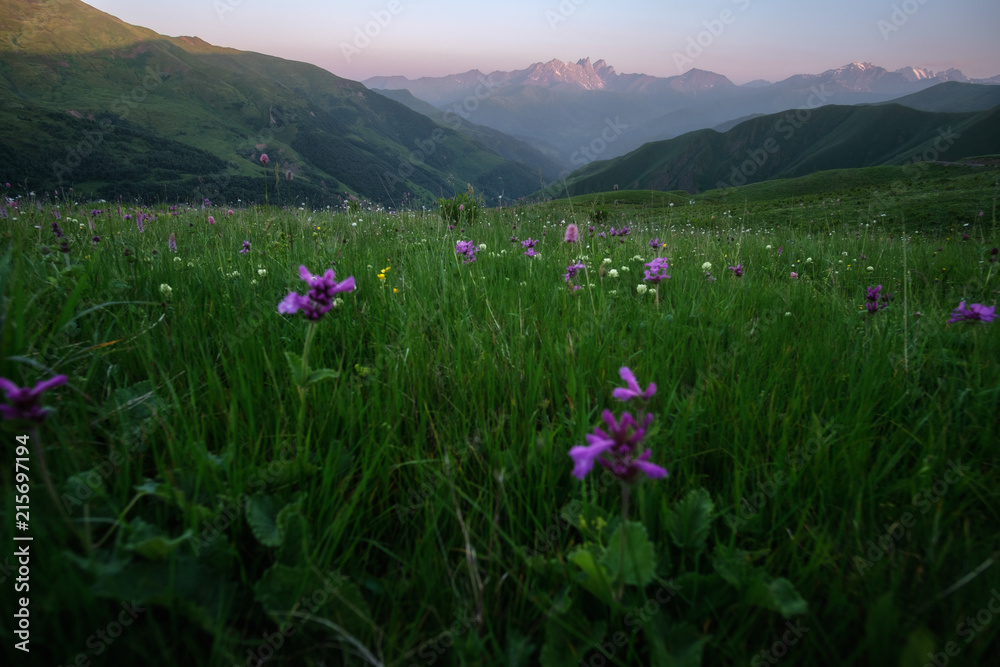 Fototapeta premium Summer landscape of a mountain valley with a Chaukhi mountain range at the background. Mountains at sunrise.