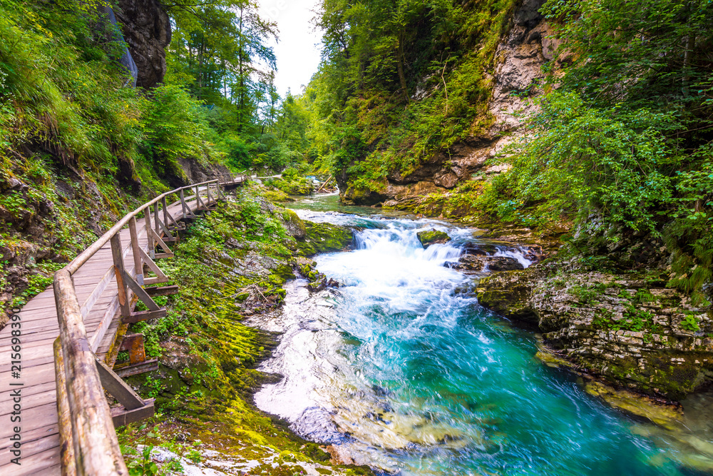 Fototapeta premium Wąwóz Vintgar, Słowenia. Rzeka w pobliżu jeziora Bled z drewnianymi szlakami turystycznymi, mostami nad rzeką i wodospadami. Turystyka w parku narodowym Triglav. Świeża natura, błękitna woda w lesie. Dzikie drzewa
