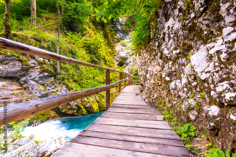 Obraz premium Vintgar gorge, Slovenia. River near the Bled lake with wooden tourist paths, bridges above river and waterfalls. Hiking in the Triglav national park. Fresh nature, blue water in the forest. Wild trees