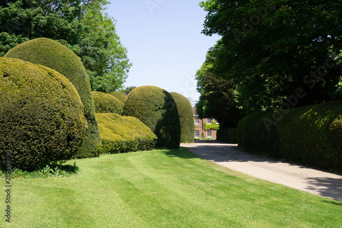 Trimmed trees in an old manor house in England