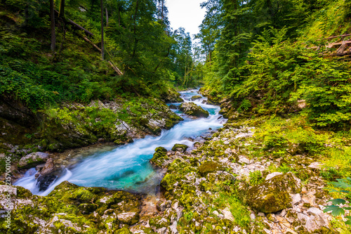 Vintgar gorge  Slovenia. River near the Bled lake with wooden tourist paths  bridges above river and waterfalls. Hiking in the Triglav national park. Fresh nature  blue water in the forest. Wild trees