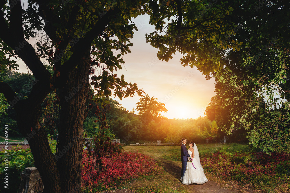 The bride and groom in the forest against the background of a fantastic sunset