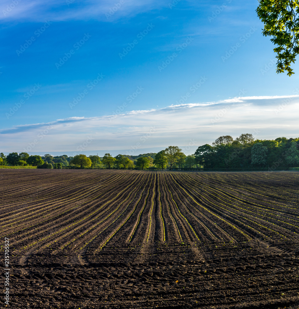 Ploughed Field Near Northwich Cheshire