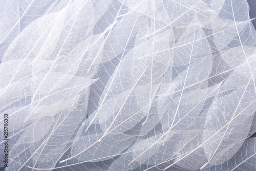 Wallpaper Mural white and grey foliage leaves texture horizontal background Torontodigital.ca