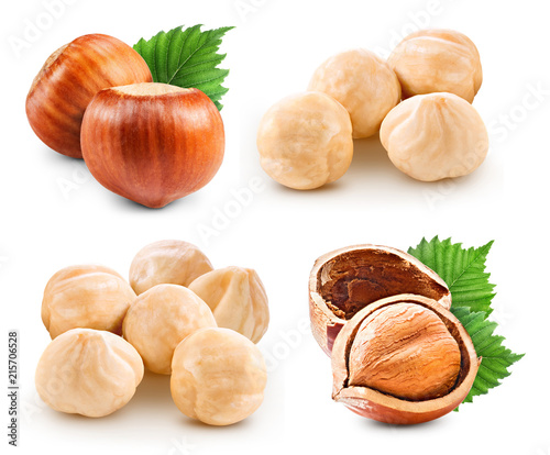 Hazelnuts isolated on white